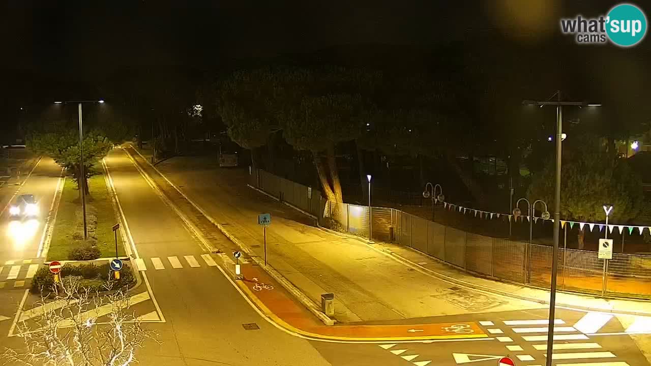 Camera en vivo Rosolina mare