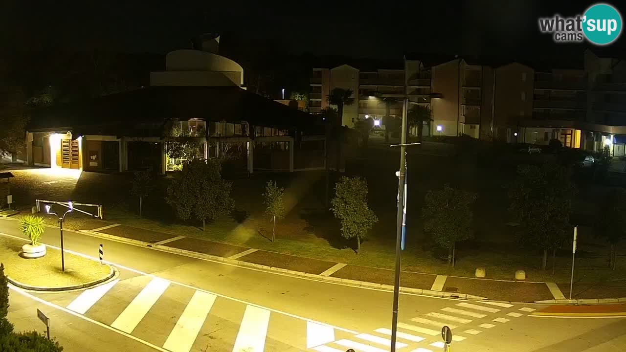 Camera en vivo Rosolina mare