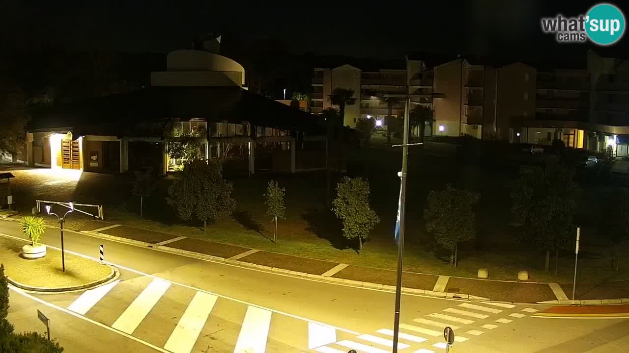 Camera en vivo Rosolina mare