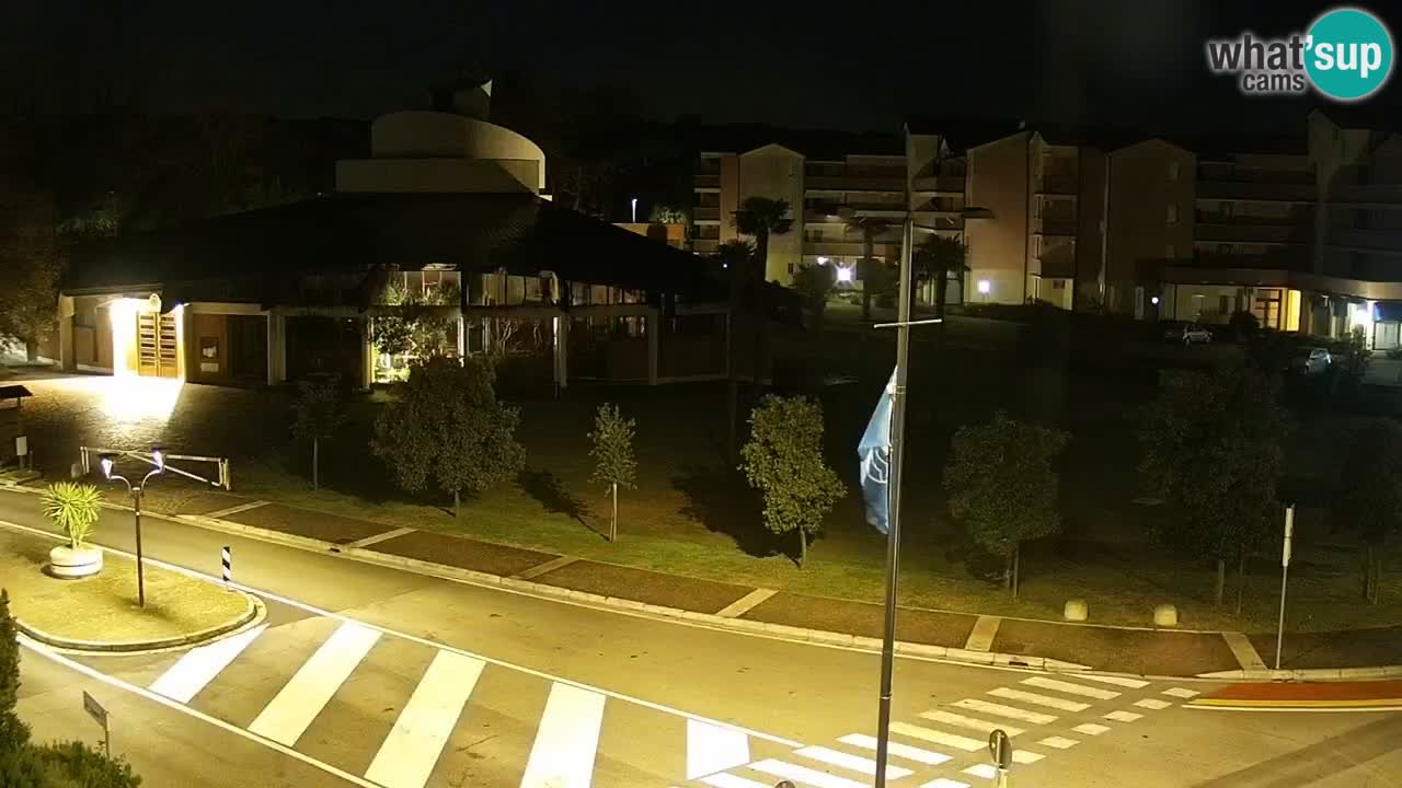 Camera en vivo Rosolina mare