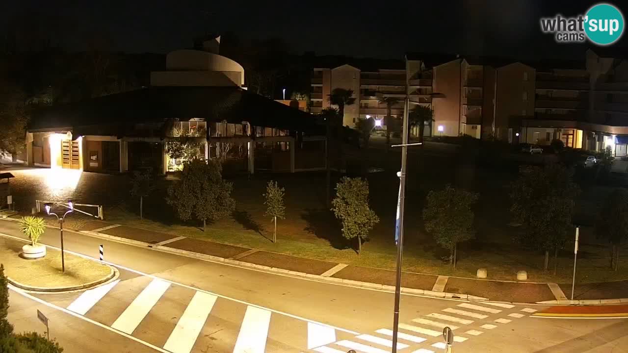 Spletna kamera Rosolina mare