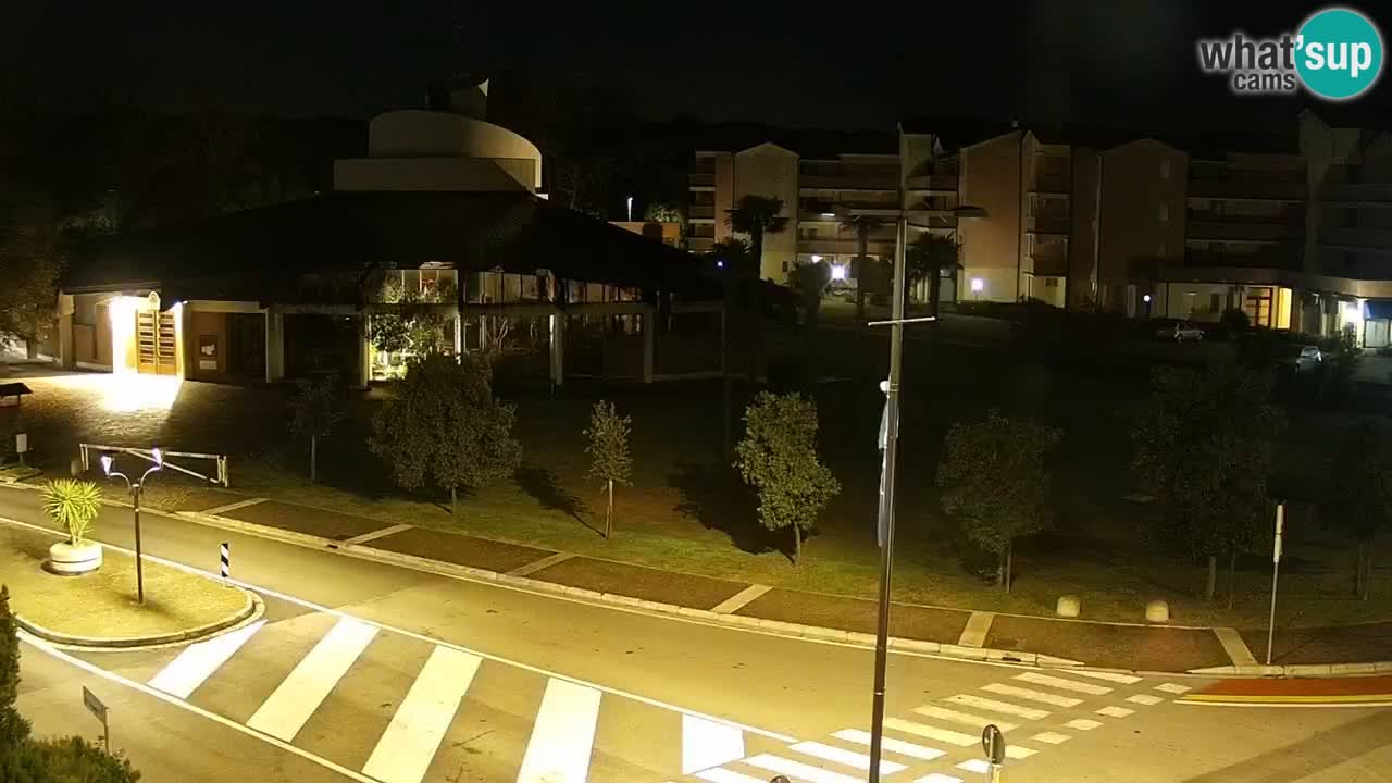 Web kamera Rosolina mare