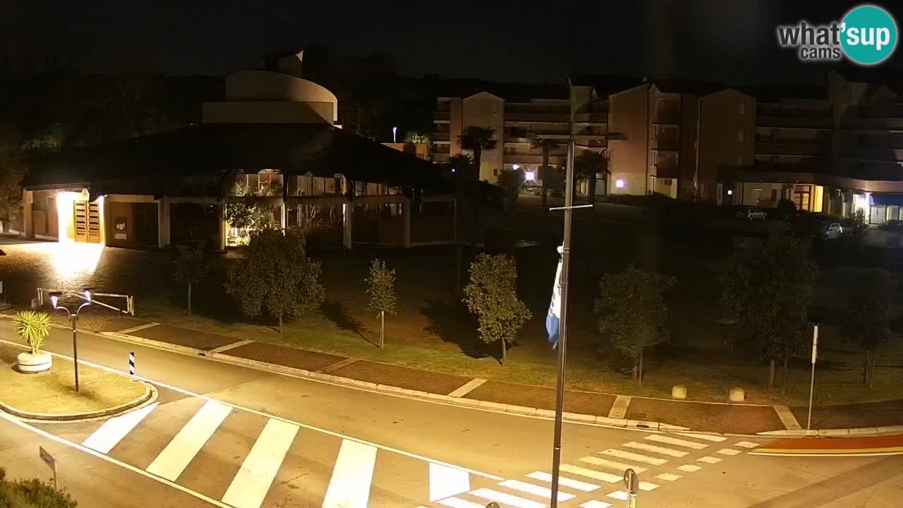 Livecam Rosolina mare