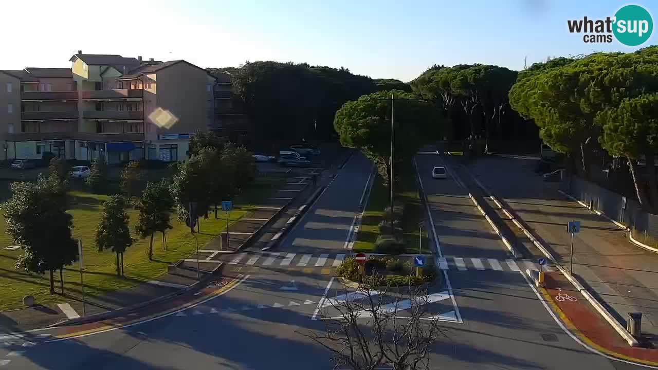 Livecam Rosolina mare