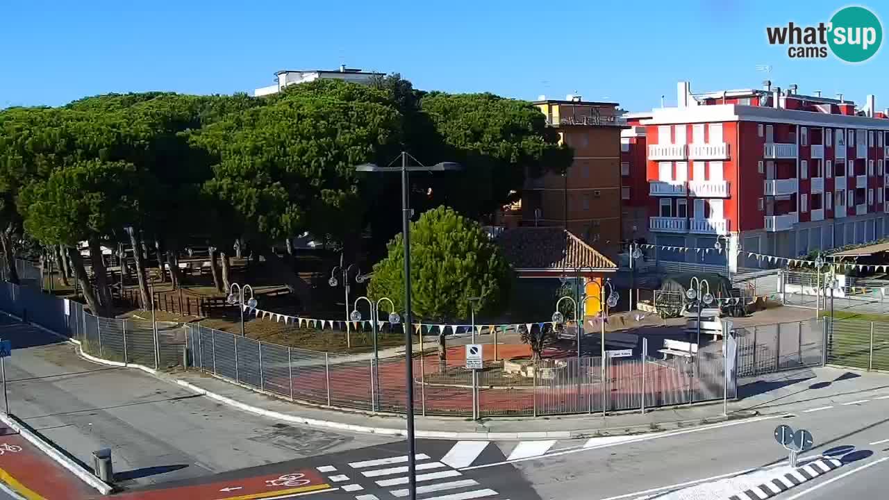 Livecam Rosolina mare