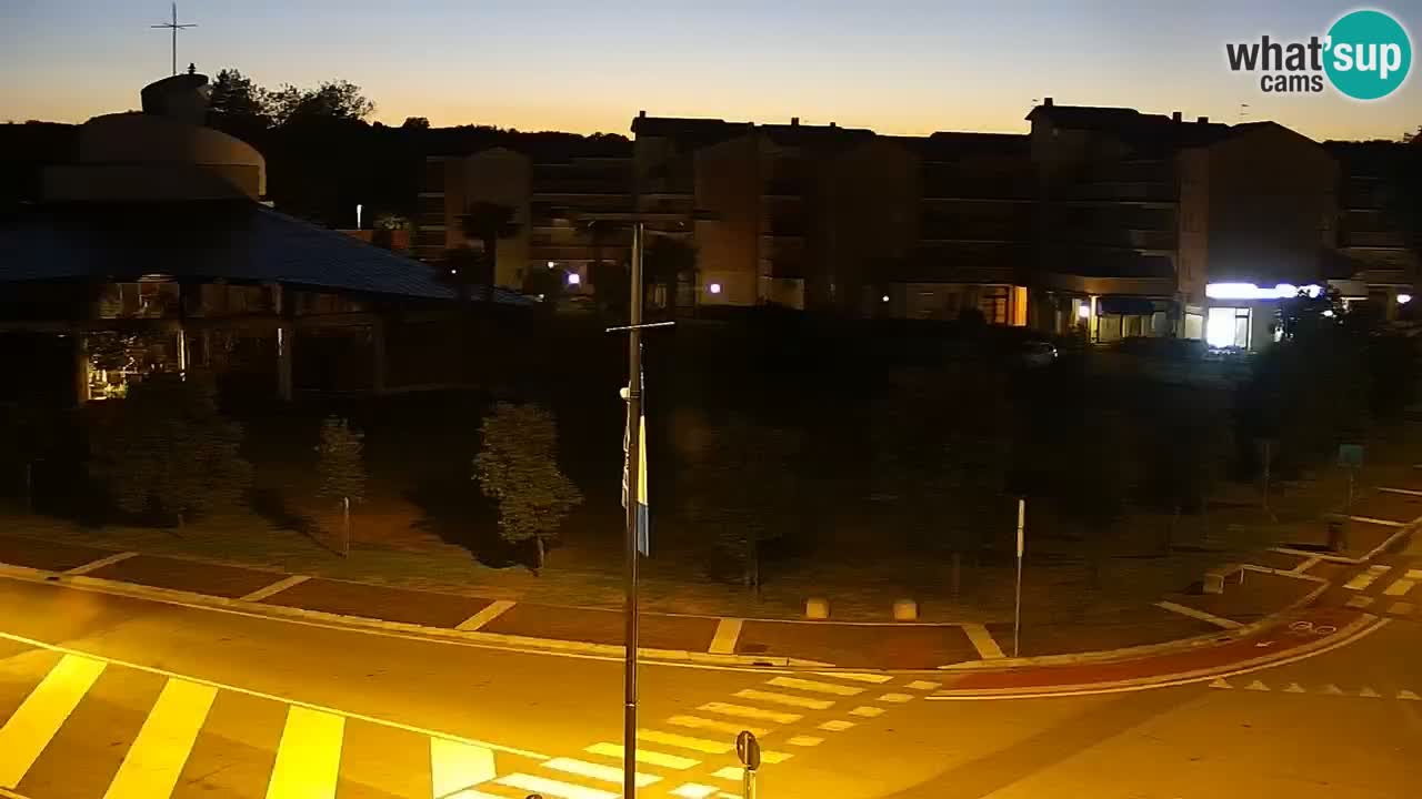 Camera en vivo Rosolina mare