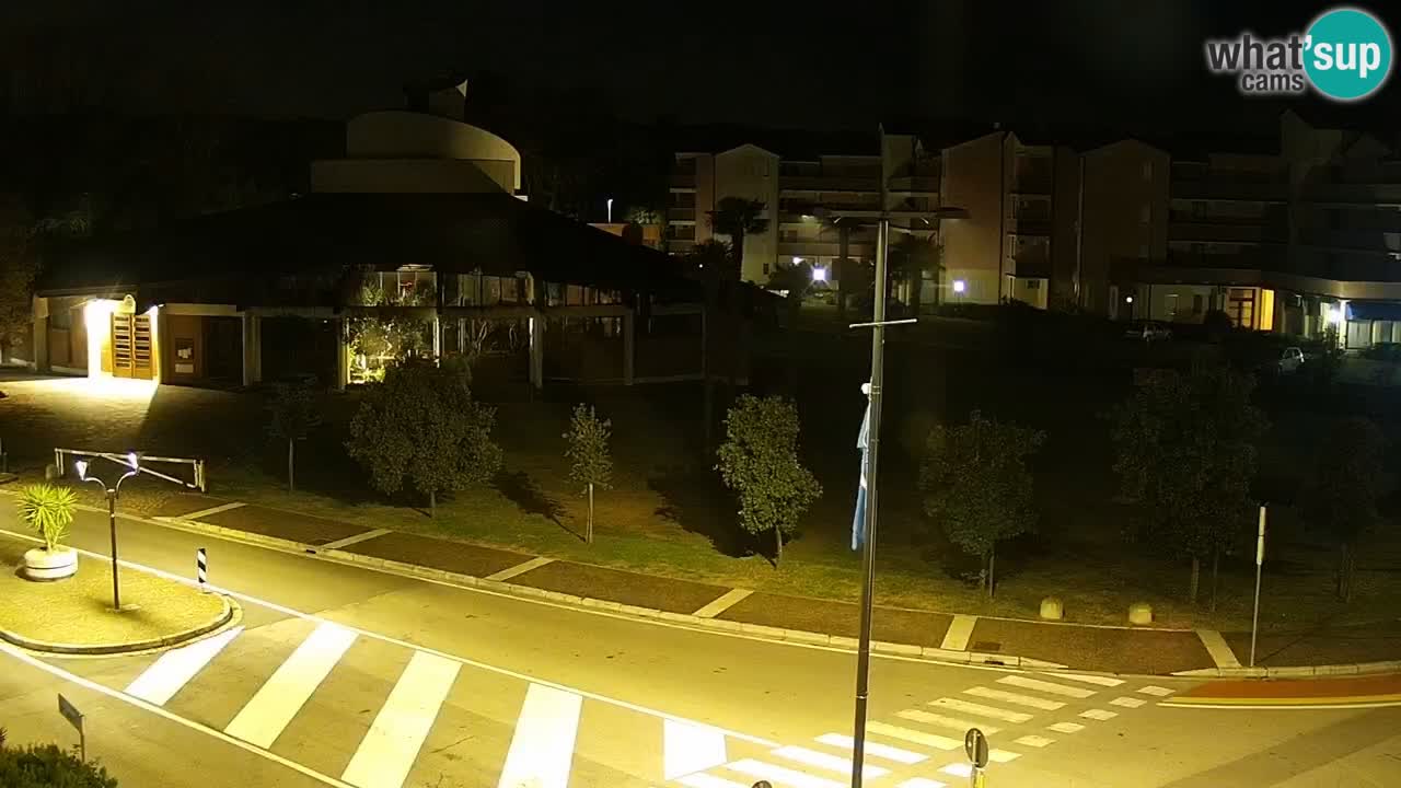 Camera en vivo Rosolina mare