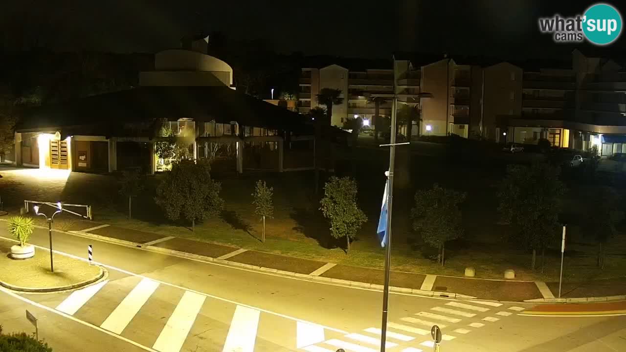 Camera en vivo Rosolina mare