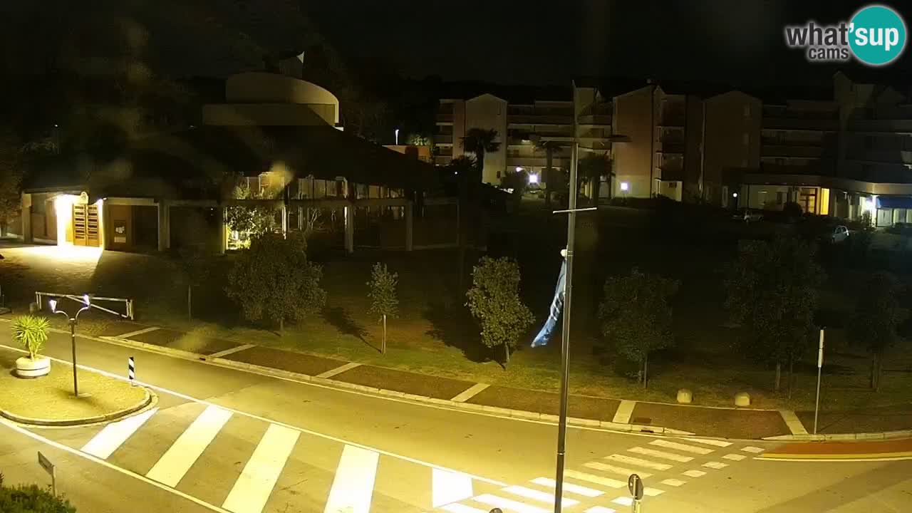 Livecam Rosolina mare