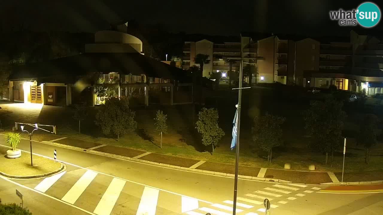 Livecam Rosolina mare