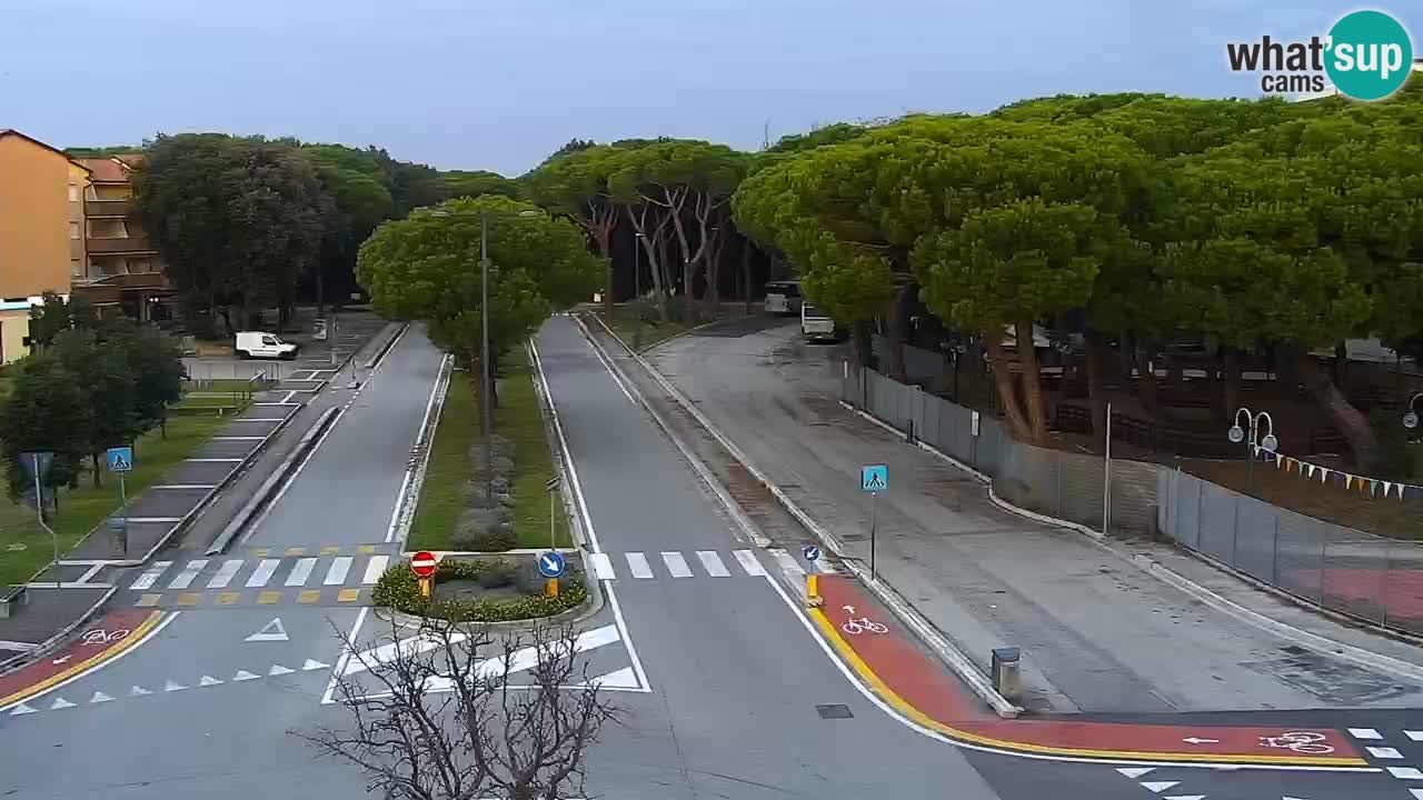 Camera en vivo Rosolina mare