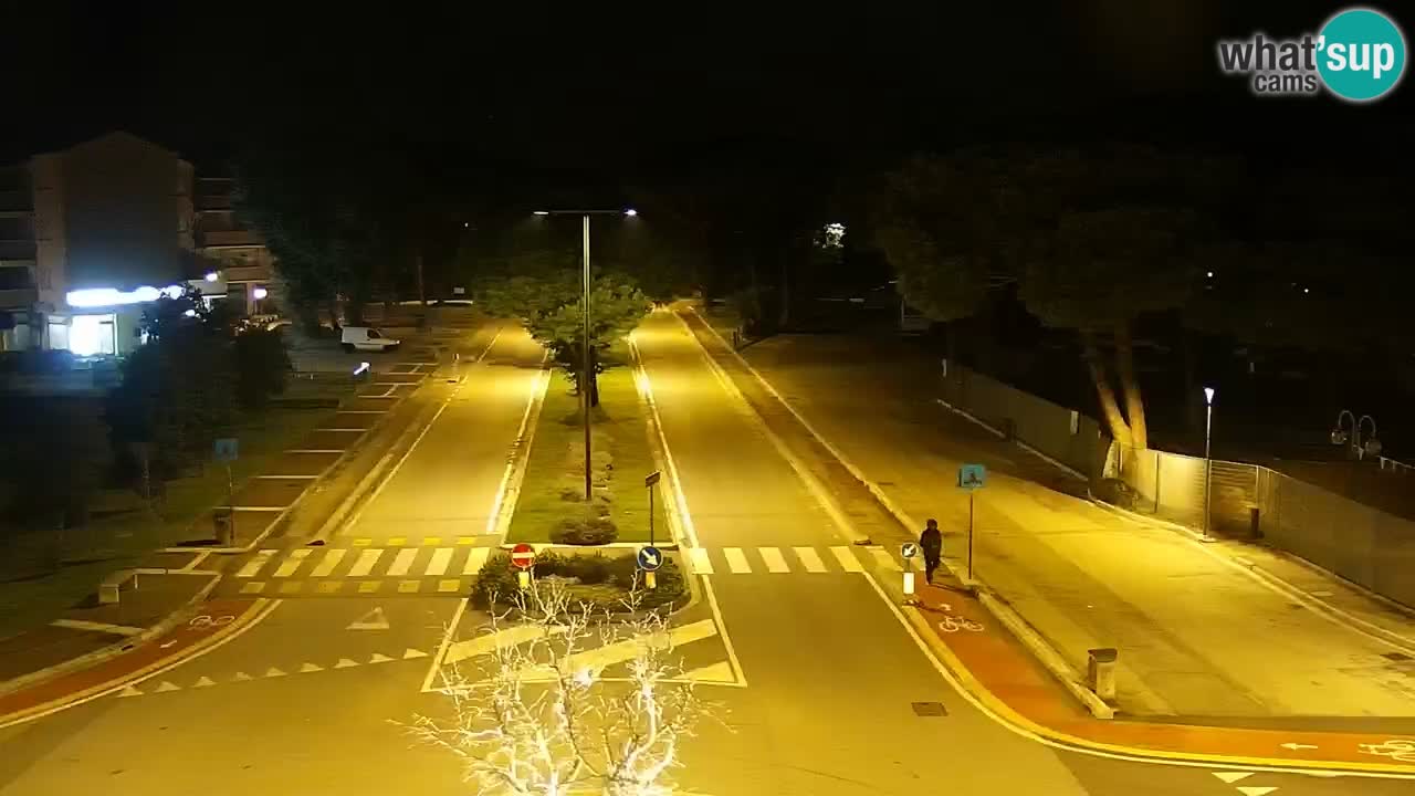 Livecam Rosolina mare