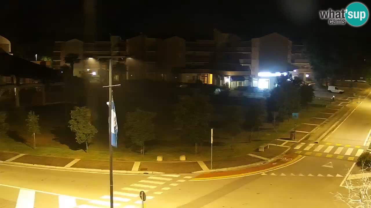 Camera en vivo Rosolina mare