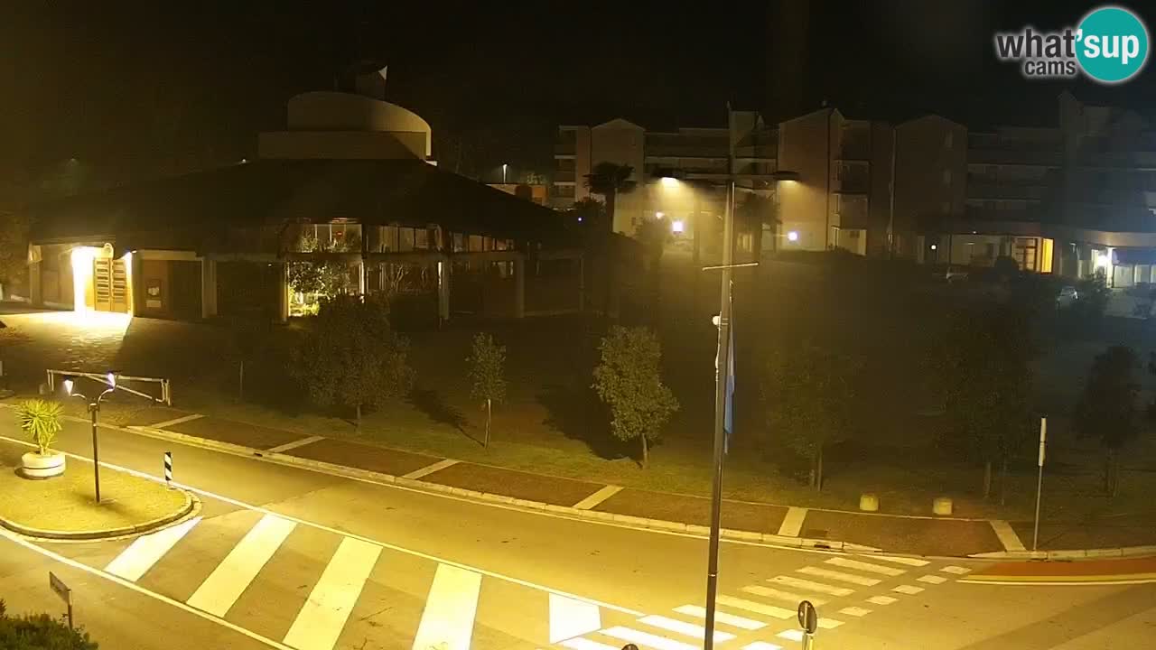 Camera en vivo Rosolina mare