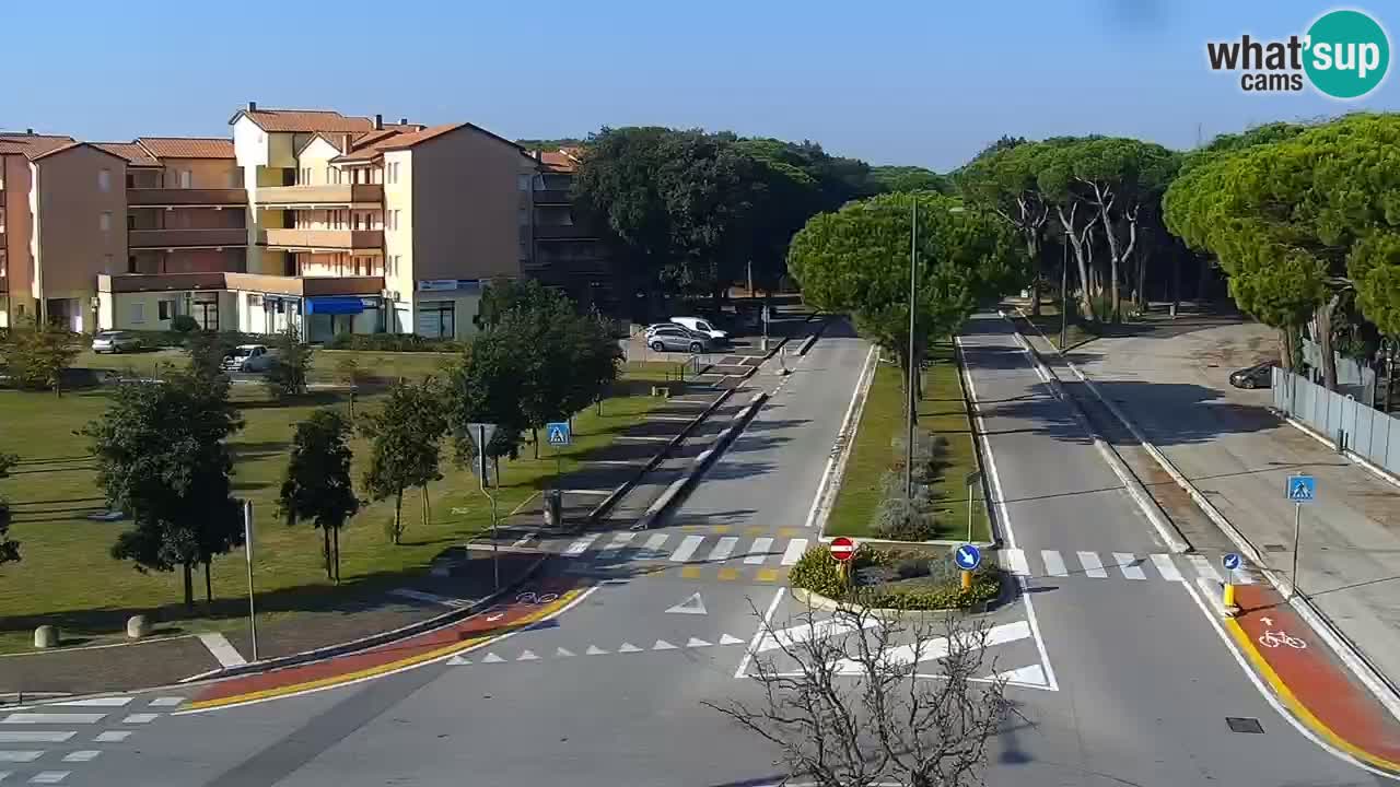 Livecam Rosolina mare