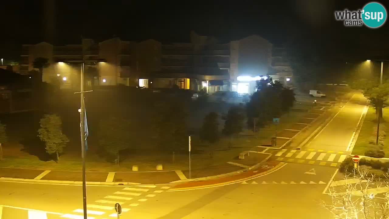 Livecam Rosolina mare