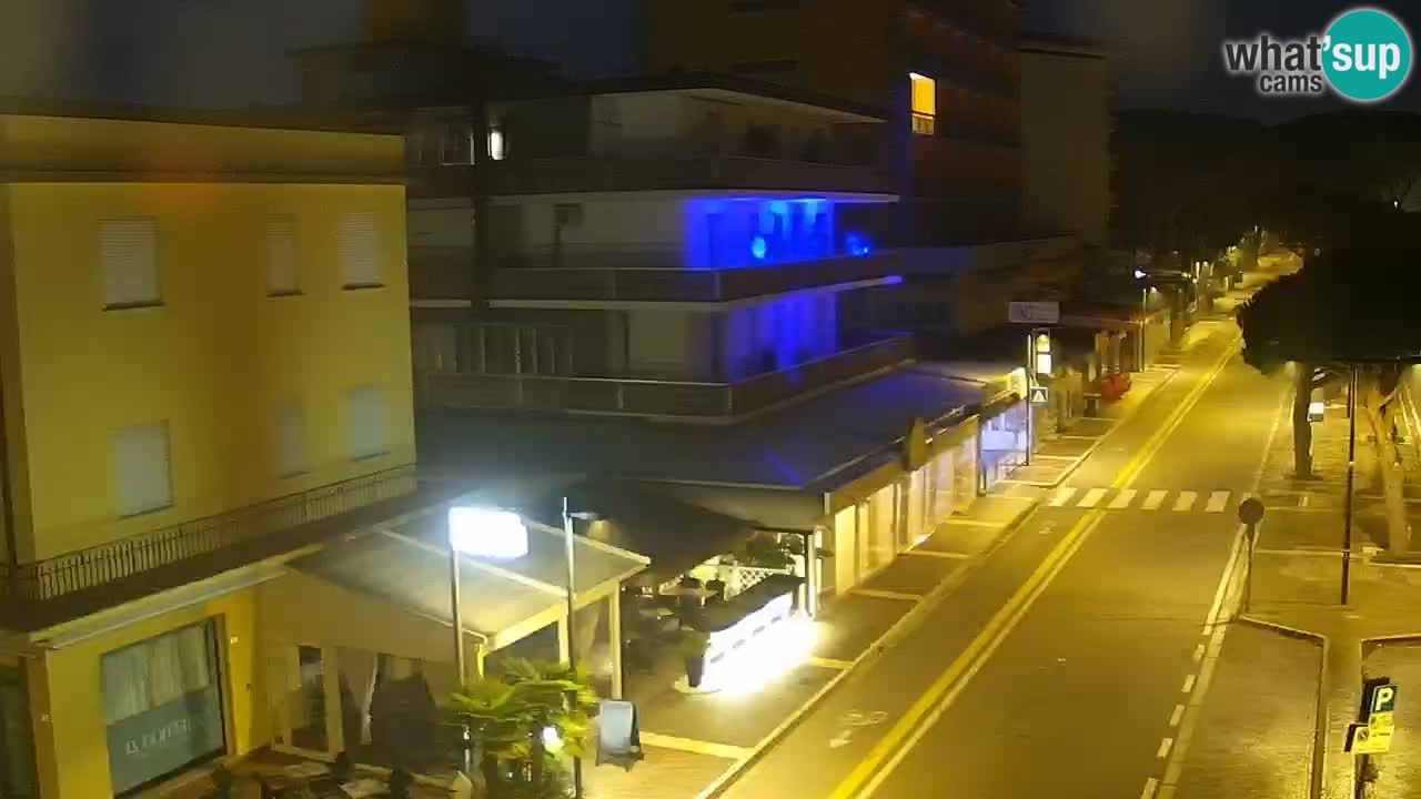 Livecam Rosolina mare