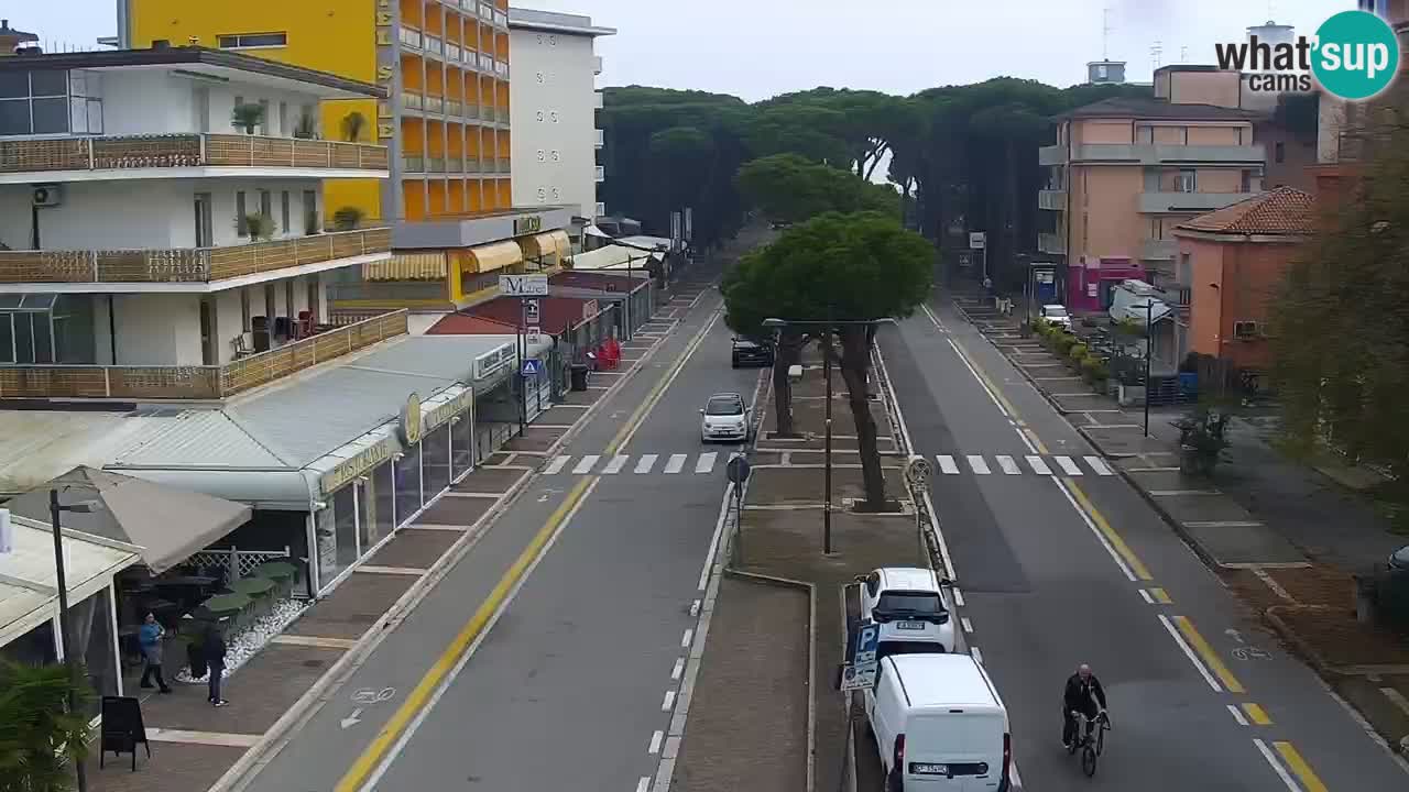 Camera en vivo Rosolina mare