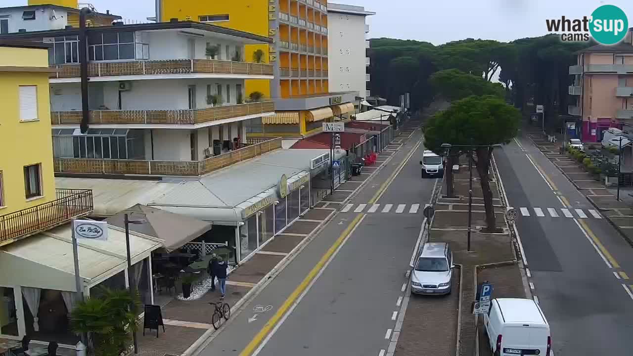 Web kamera Rosolina mare