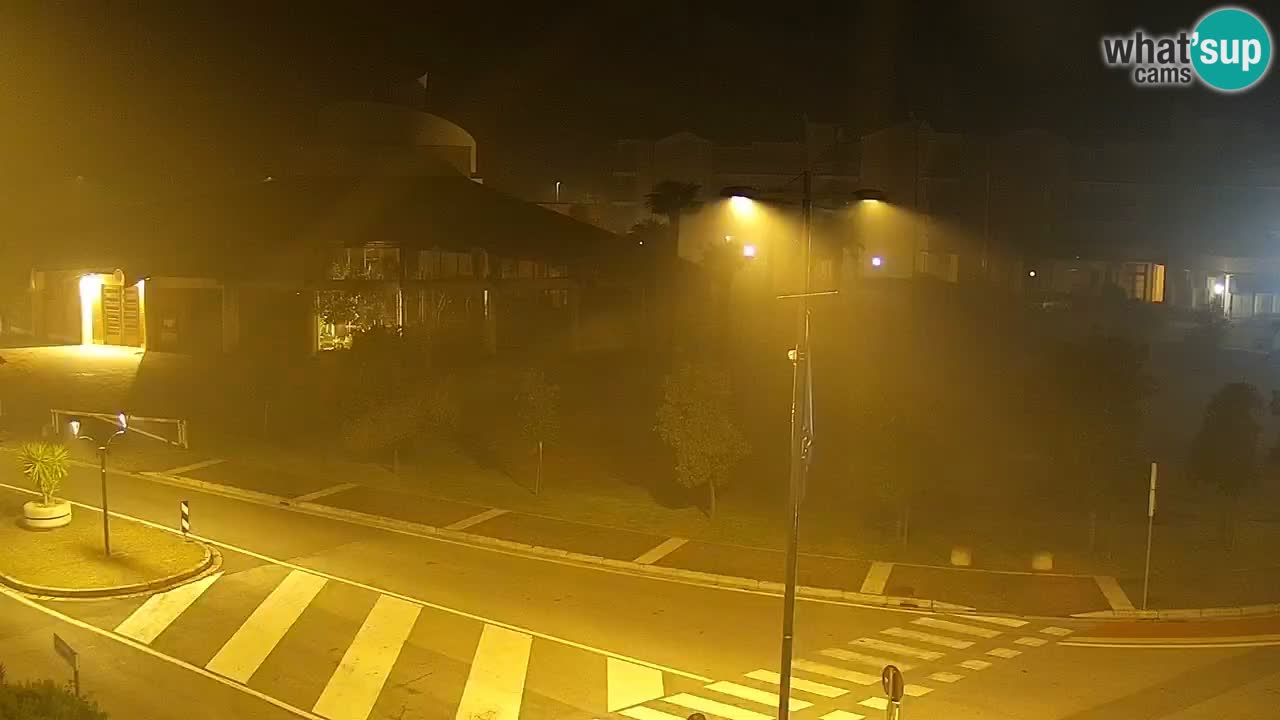 Livecam Rosolina mare