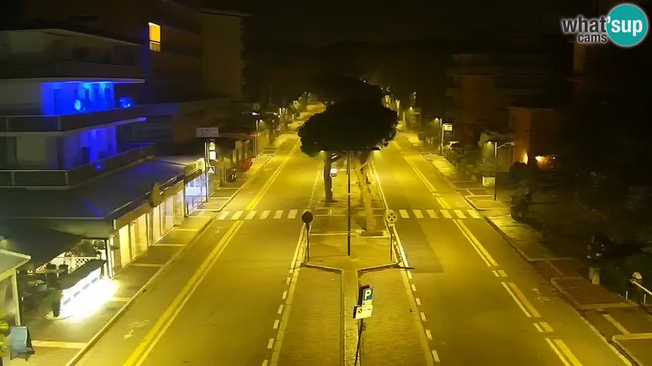 Camera en vivo Rosolina mare