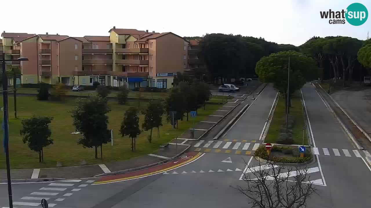 Camera en vivo Rosolina mare