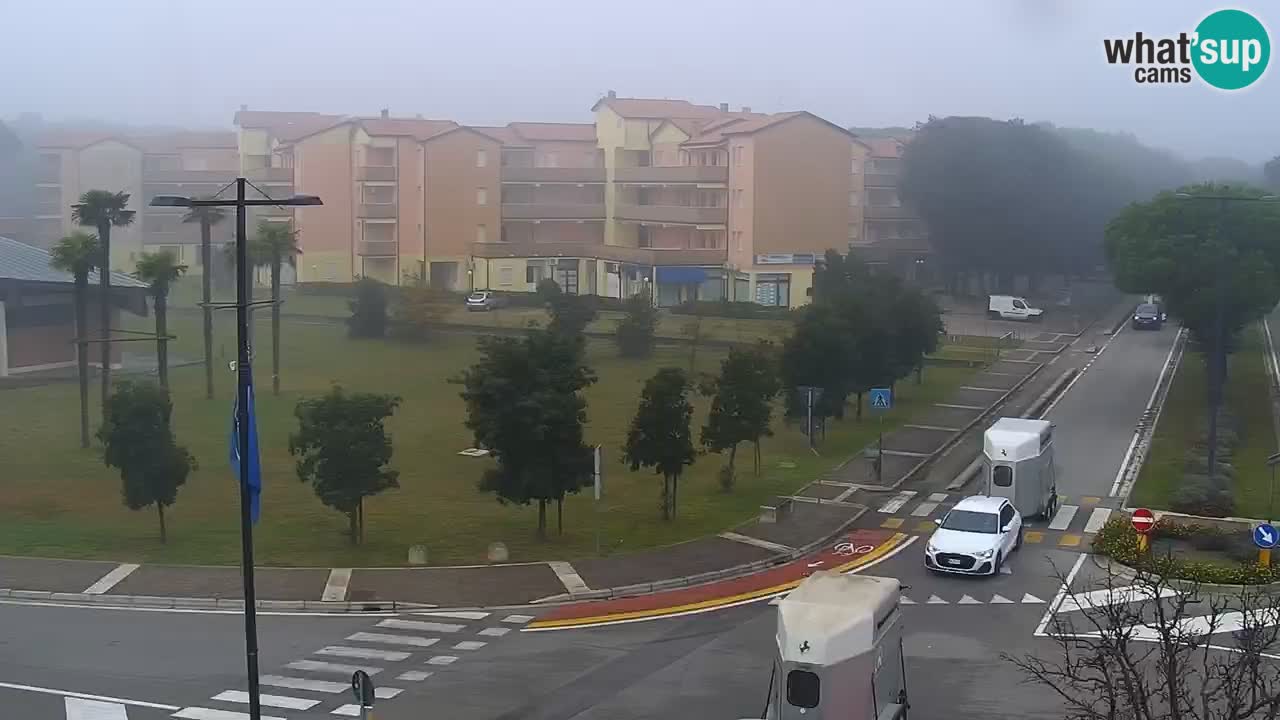 Livecam Rosolina mare