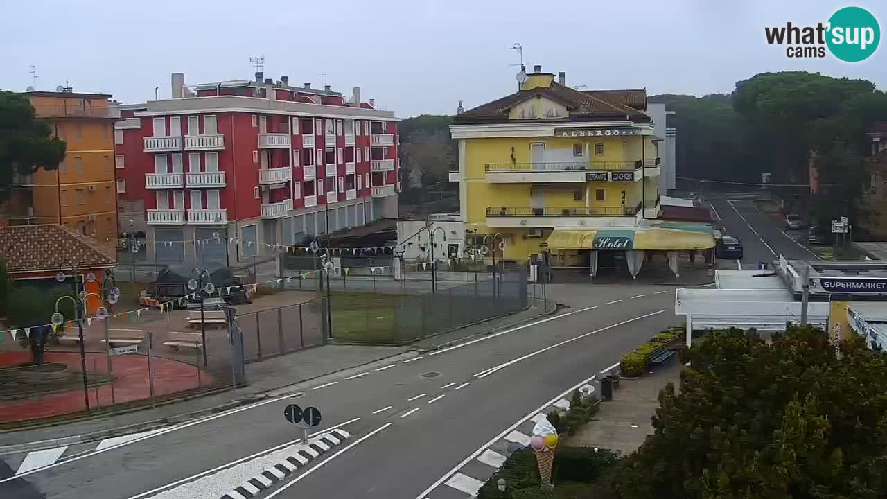 Livecam Rosolina mare