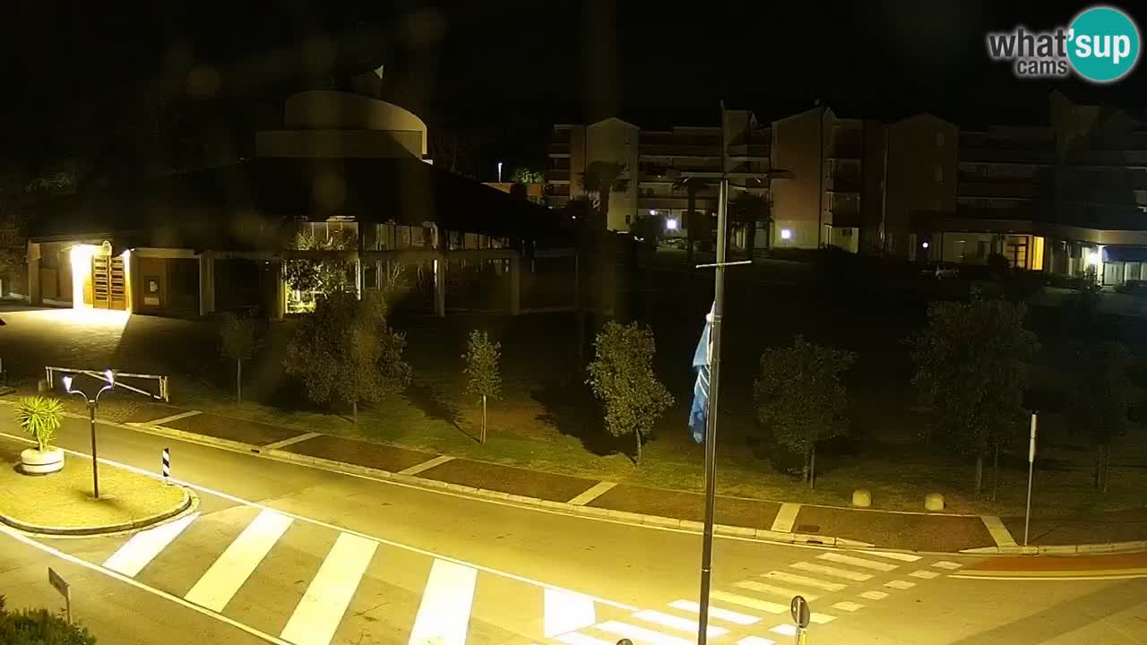 Livecam Rosolina mare