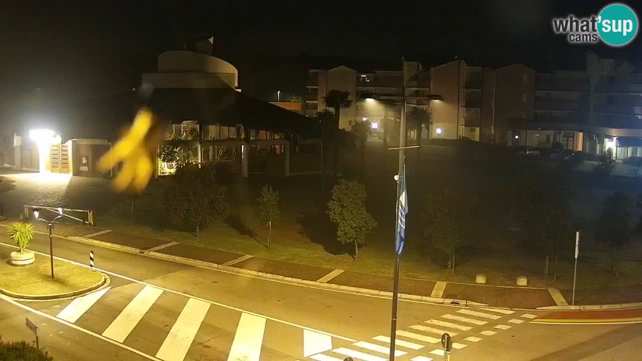 Camera en vivo Rosolina mare