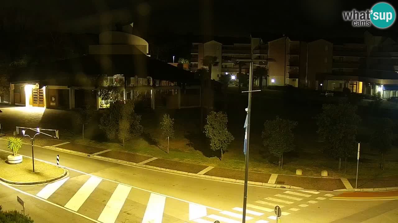 Camera en vivo Rosolina mare