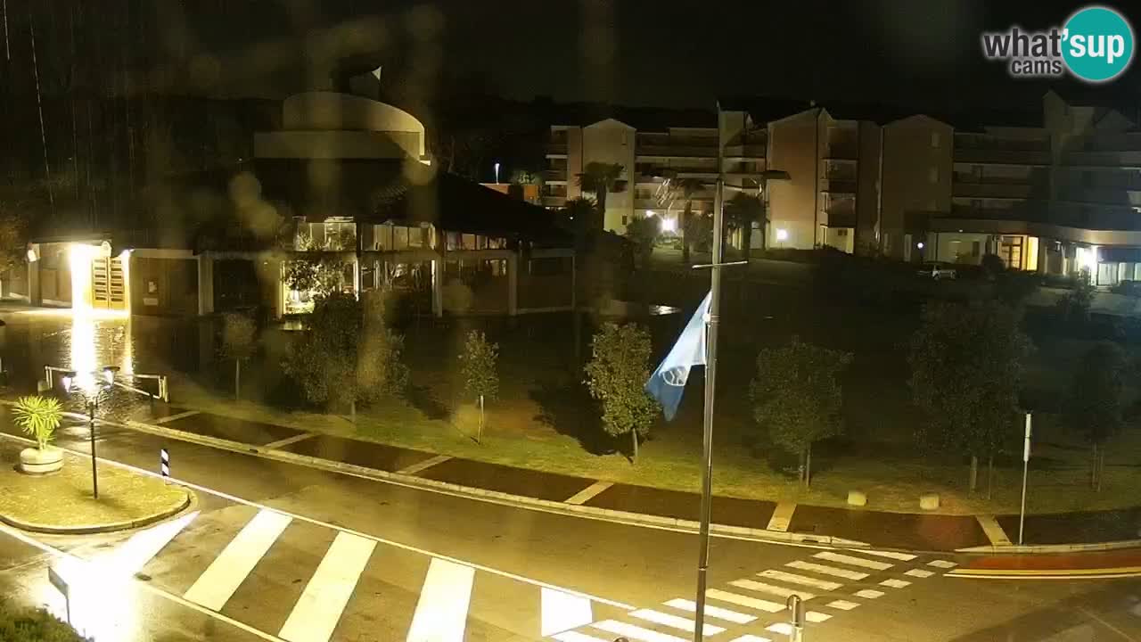 Camera en vivo Rosolina mare