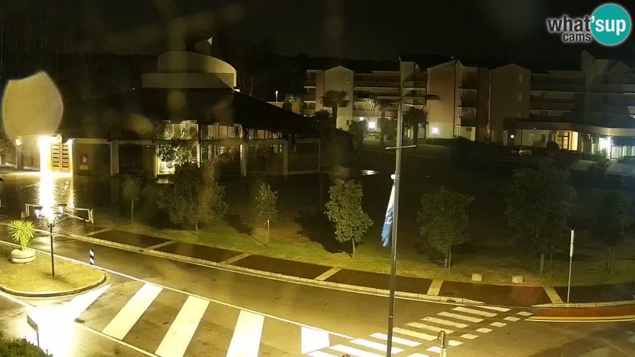 Camera en vivo Rosolina mare