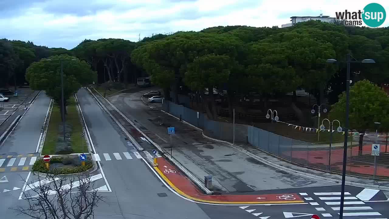 Camera en vivo Rosolina mare