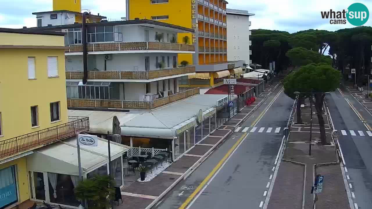 Camera en vivo Rosolina mare