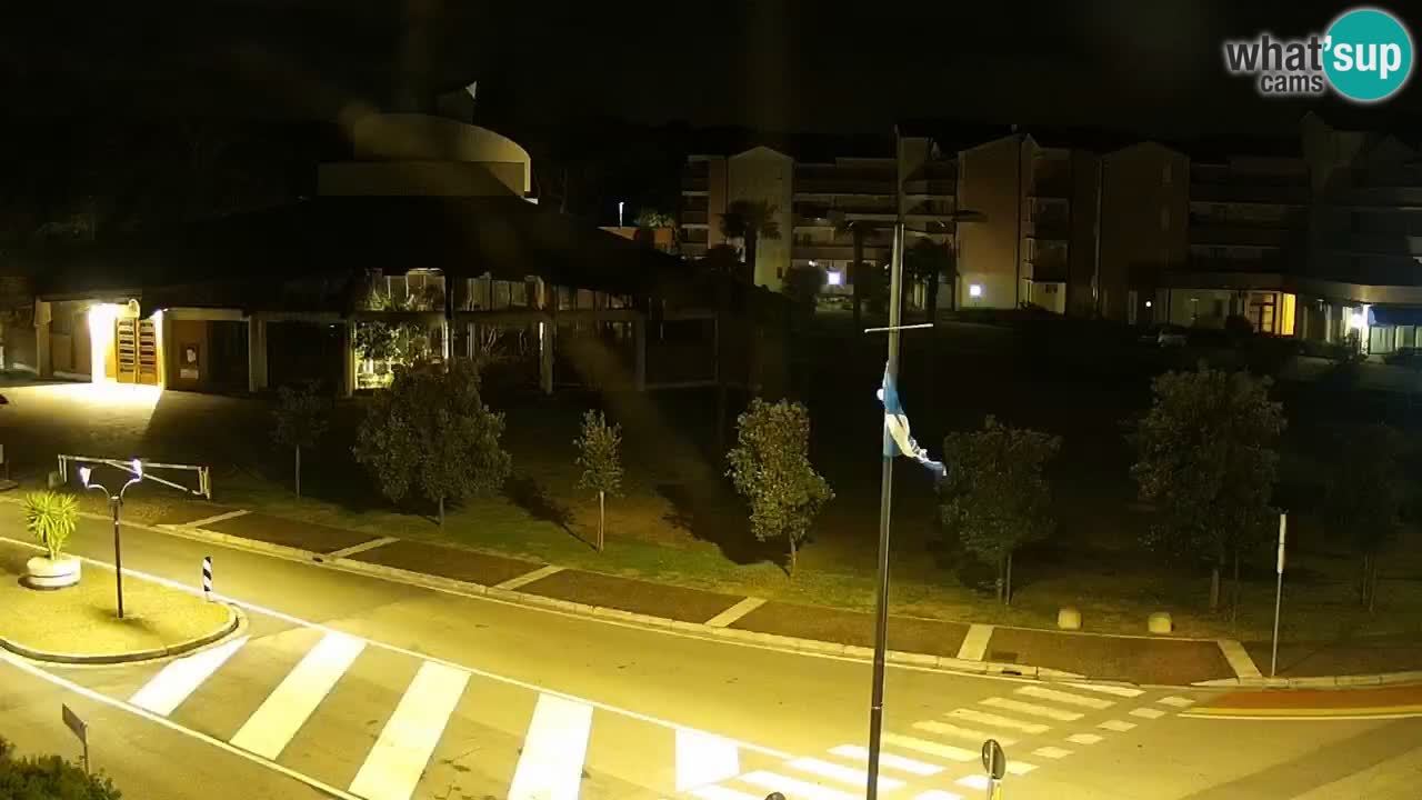 Livecam Rosolina mare