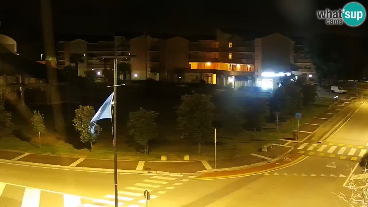 Camera en vivo Rosolina mare