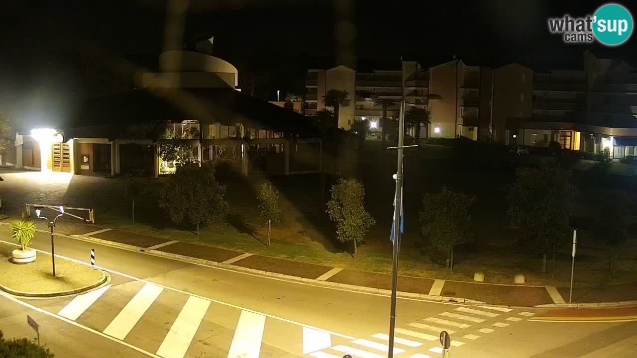 Livecam Rosolina mare