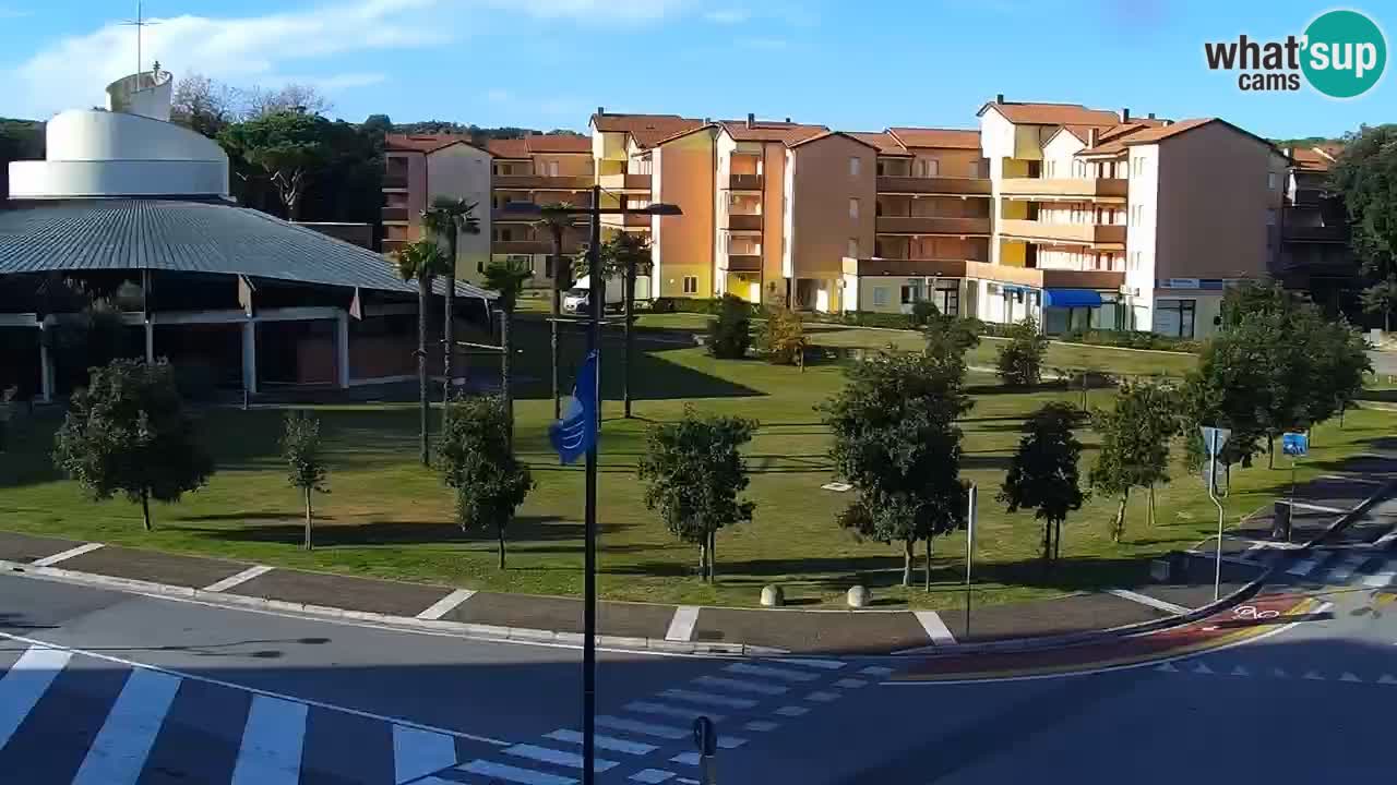 Livecam Rosolina mare