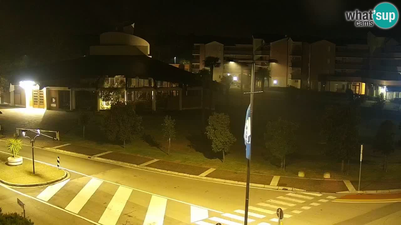 Livecam Rosolina mare