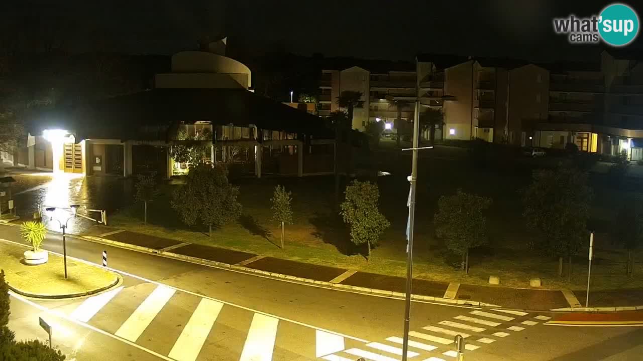 Camera en vivo Rosolina mare