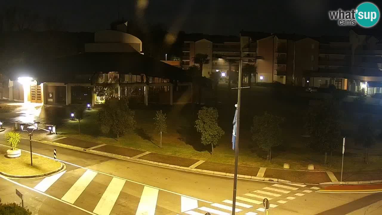 Camera en vivo Rosolina mare