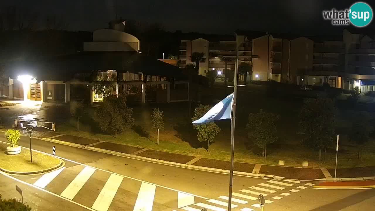 Camera en vivo Rosolina mare