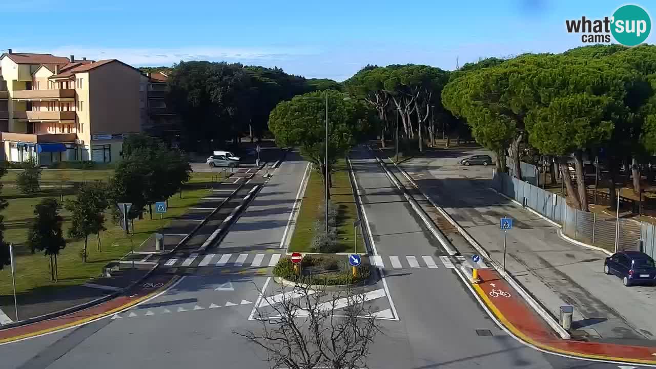 Camera en vivo Rosolina mare