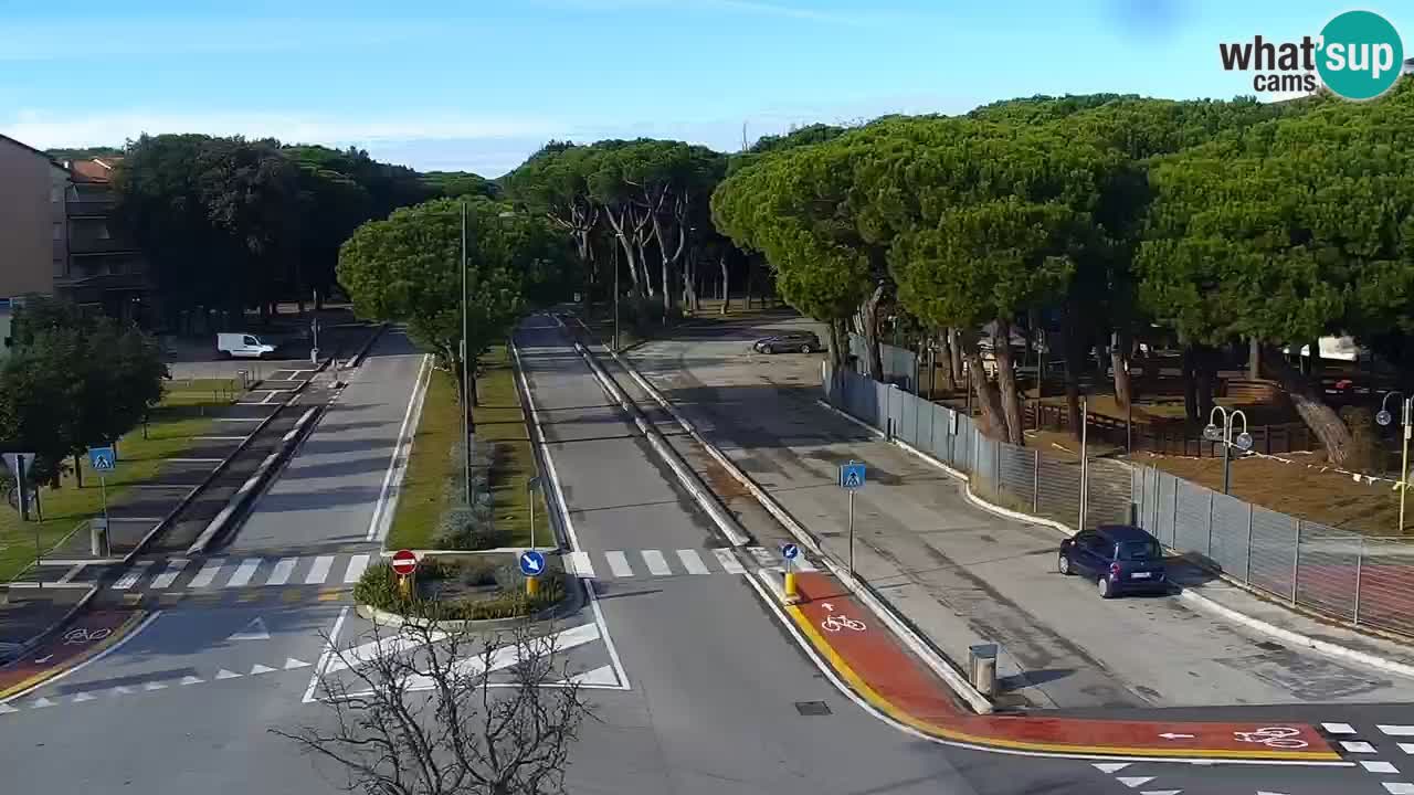 Camera en vivo Rosolina mare