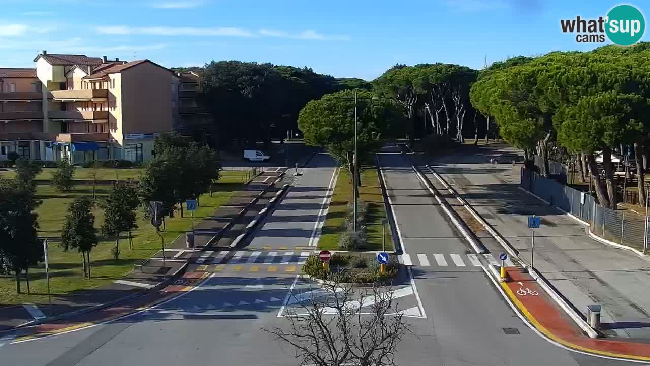 Camera en vivo Rosolina mare