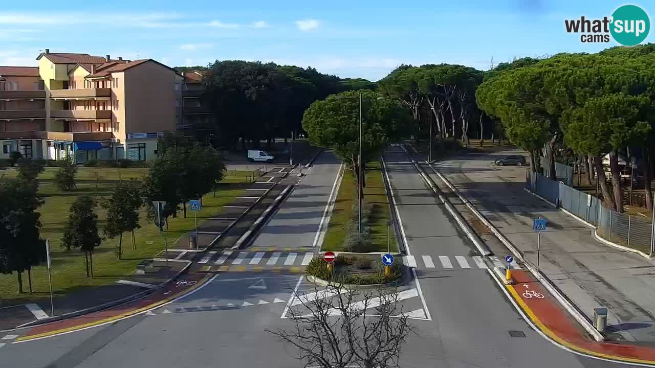 Camera en vivo Rosolina mare