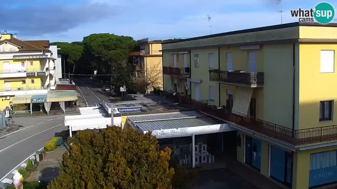 Camera en vivo Rosolina mare