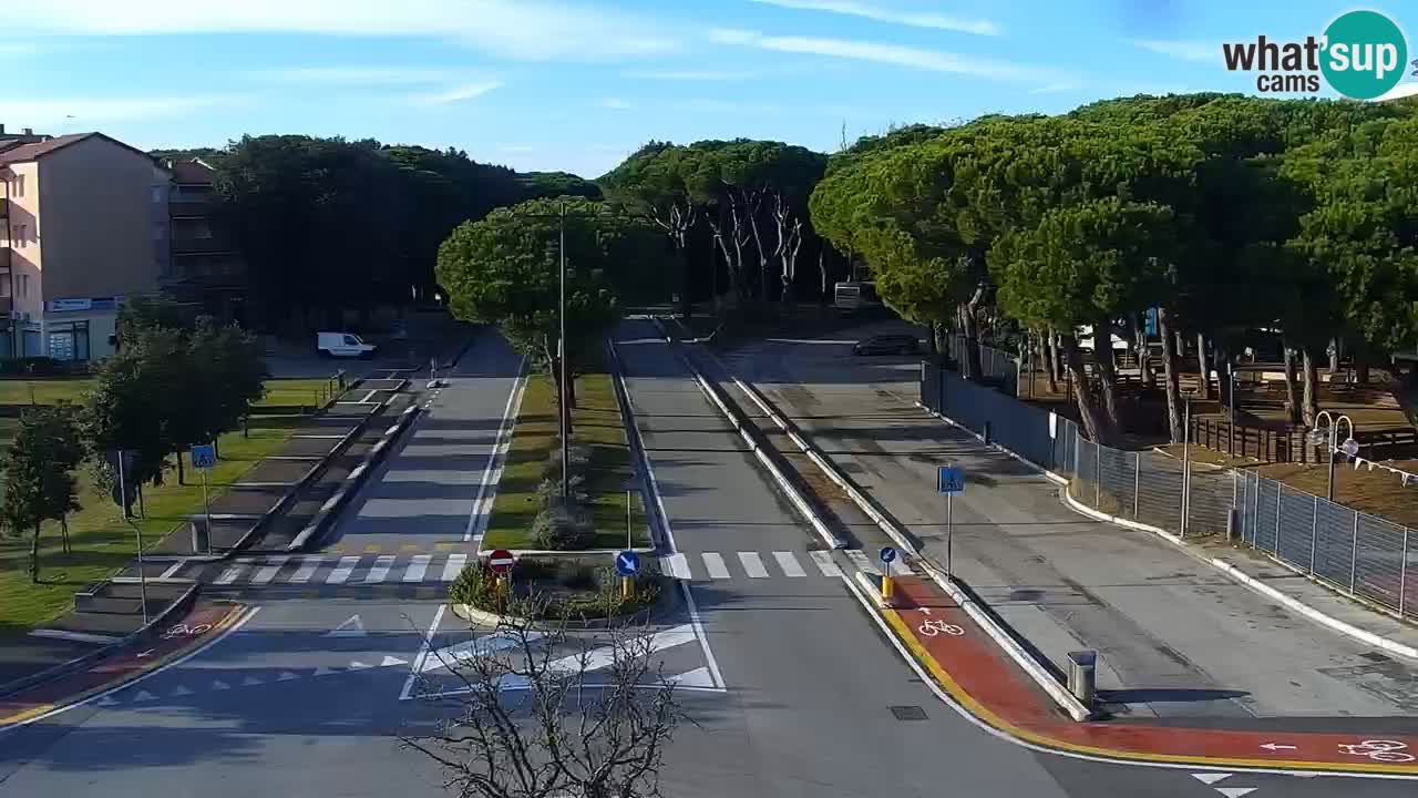 Camera en vivo Rosolina mare