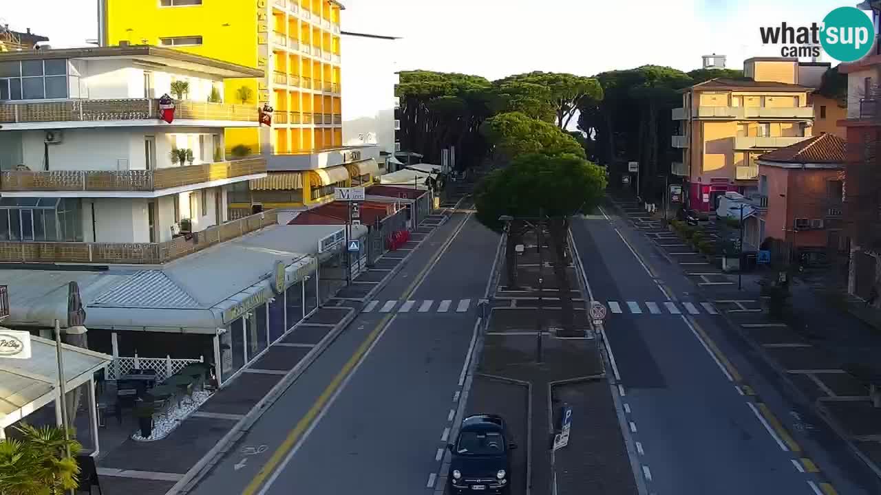 Livecam Rosolina mare